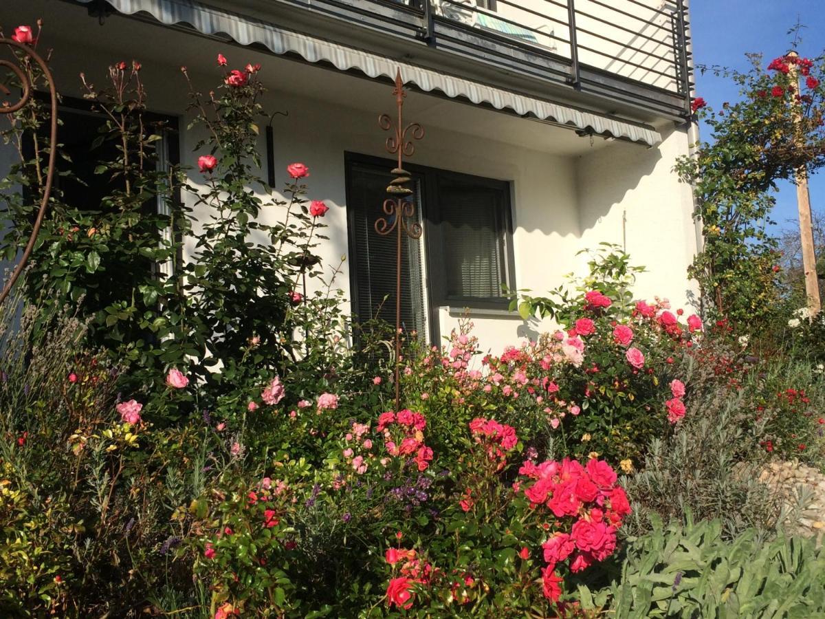 Apartment Gaestehaus Maria Rettenbach am Auerberg Kültér fotó